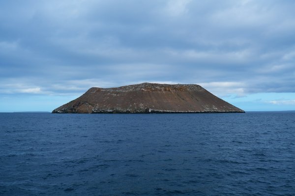 Comment organiser une croisière pour explorer les îles Galápagos avec des naturalistes?